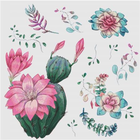 Cacti And Succulents - X Squared Cross Stitch