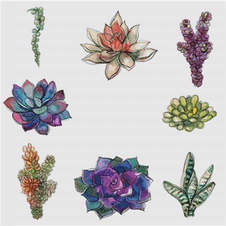Eight Succulents - X Squared Cross Stitch