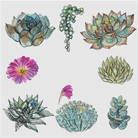 Eight Succulents I - X Squared Cross Stitch