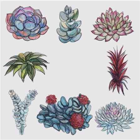 Eight Succulents II - X Squared Cross Stitch
