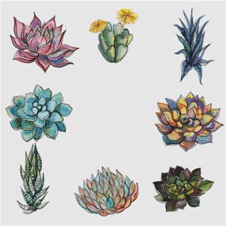 Eight Succulents III - X Squared Cross Stitch