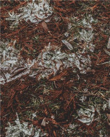 Frosty Ground - X Squared Cross Stitch