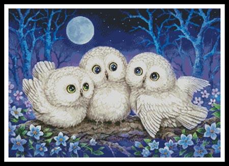 Owl Triplets - Artecy Cross Stitch
