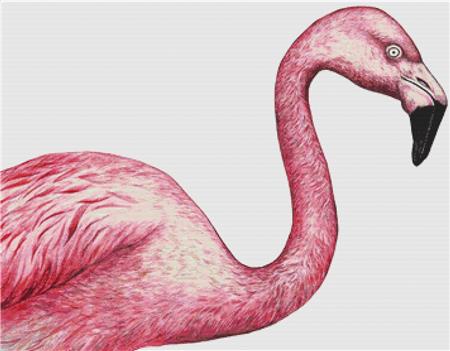 Flamingo - X Squared Cross Stitch