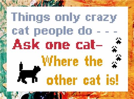 Crazy Cat Person - Iris Originals