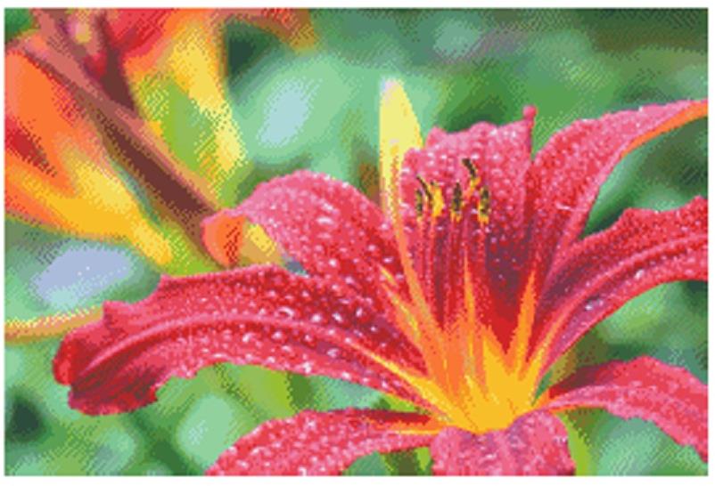 Red Lily - Fox Trails Needlework