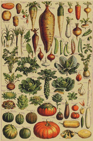 Vintage Vegetables - X Squared Cross Stitch