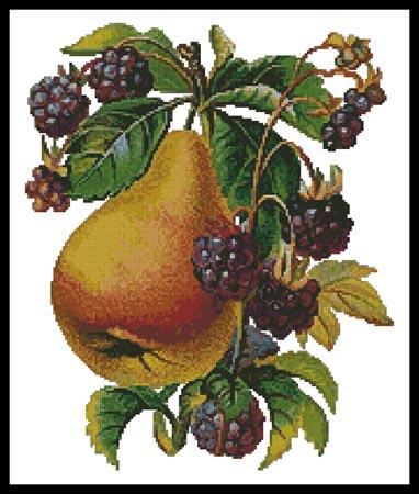 Pear And Blackberries - Artecy Cross Stitch
