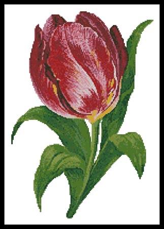 Tulip - Artecy Cross Stitch