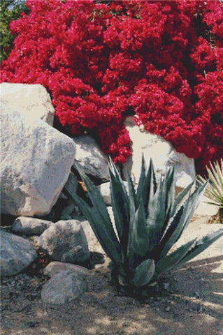 Desert Plants - X Squared Cross Stitch
