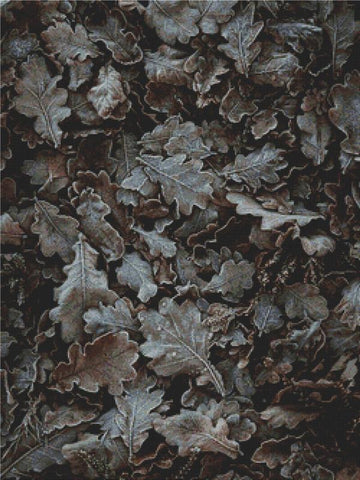 Frosty Leaves - X Squared Cross Stitch