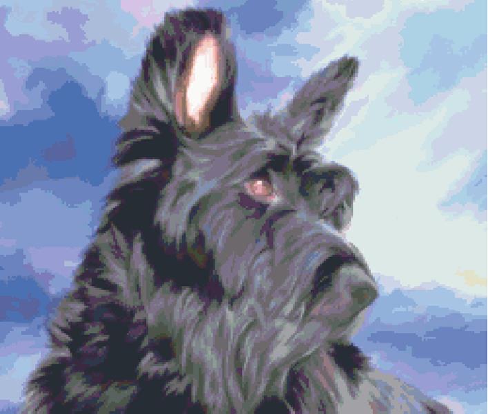Max - Fox Trails Needlework