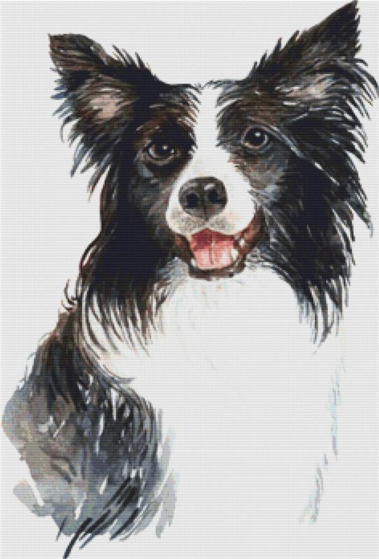 Border Collie - X Squared Cross Stitch