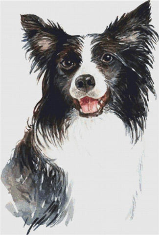 Border Collie - X Squared Cross Stitch