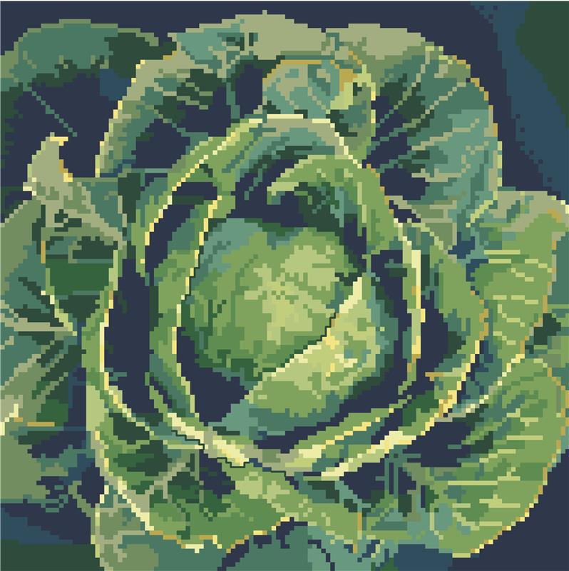 Glorious Cabbage - Kooler Design Studio