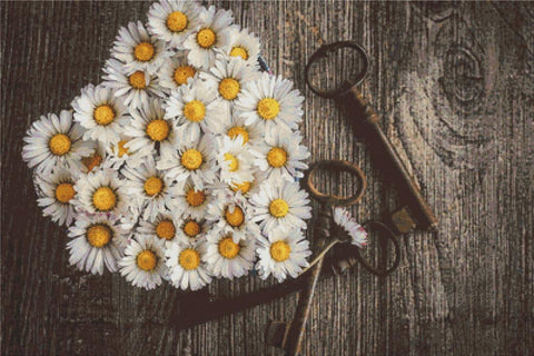 Daisy Heart - X Squared Cross Stitch