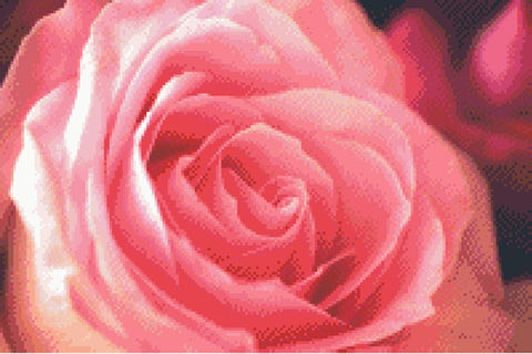 The Pink Rose - Fox Trails Needlework