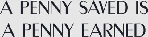 A Penny Saved - X Squared Cross Stitch