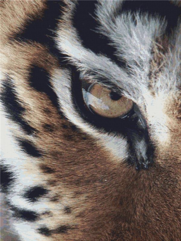 Eye Of The Tiger - X Squared Cross Stitch