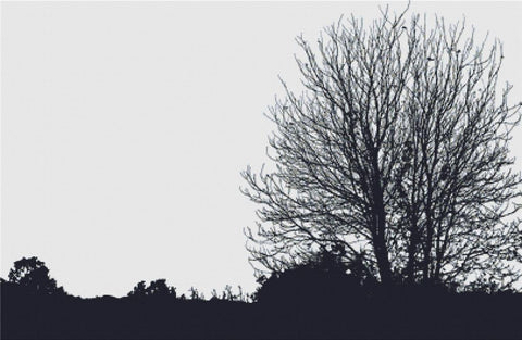 Silhouette Of Winter Tree - X Squared Cross Stitch