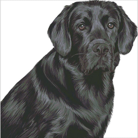 Black Lab - Charting Creations