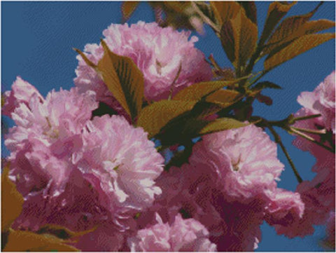 Kwanzan Cherry Blossoms - Fox Trails Needlework