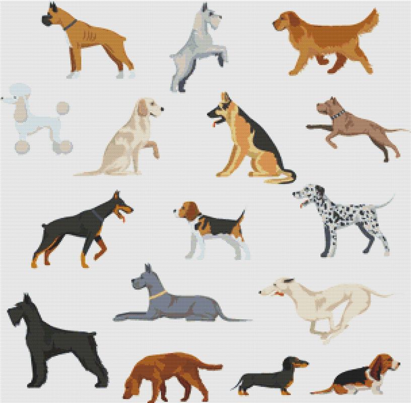 Dog Breeds - X Squared Cross Stitch