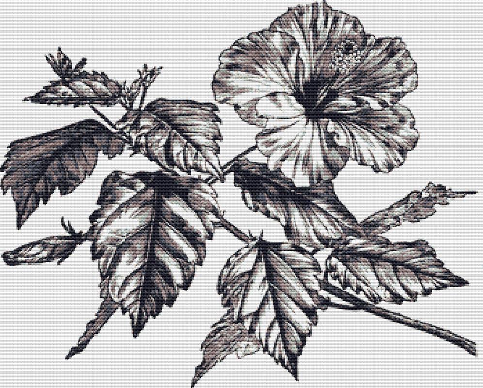 Hibiscus - X Squared Cross Stitch