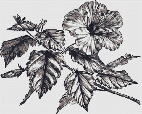 Hibiscus - X Squared Cross Stitch