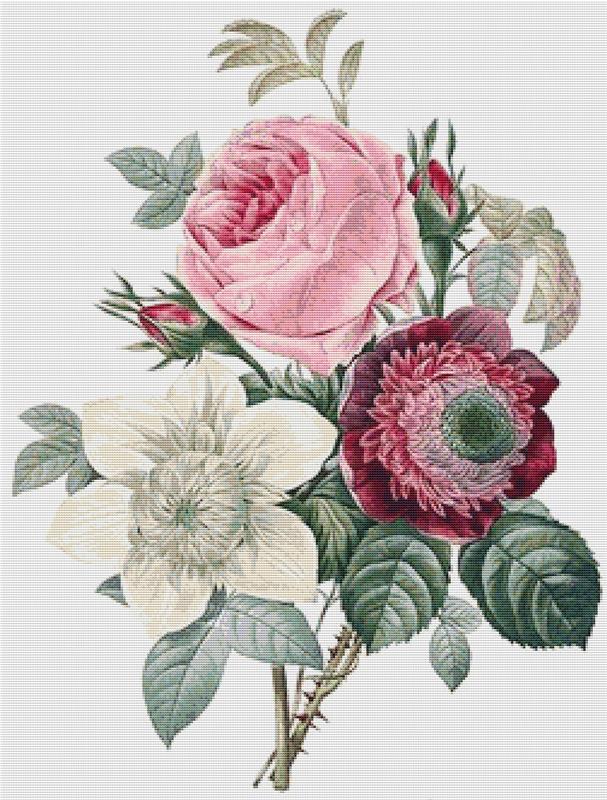 Rose, Anemone And Clematis - X Squared Cross Stitch