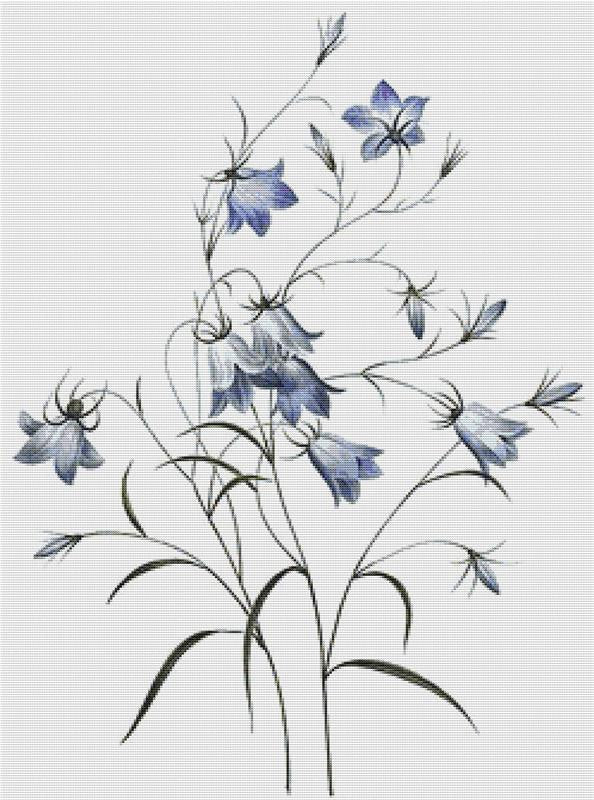 Bellflower - X Squared Cross Stitch