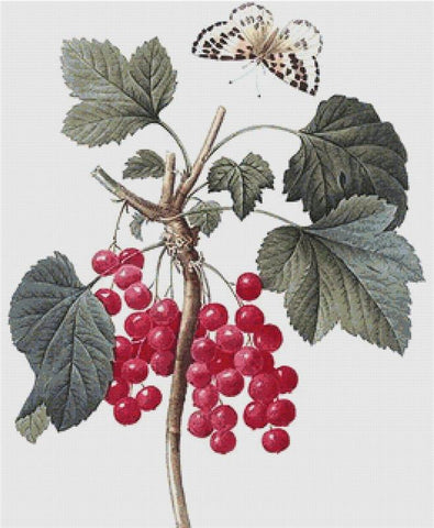 Redcurrants - X Squared Cross Stitch