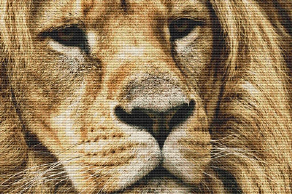 Tawny Lion - X Squared Cross Stitch