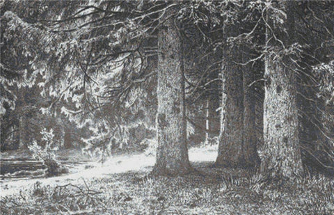Fir In The Shuvalov Park - X Squared Cross Stitch