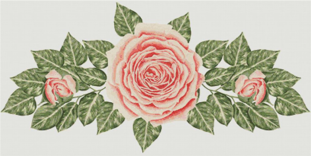 Floral Composition - X Squared Cross Stitch