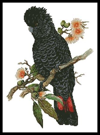 Red Tailed Cockatoo - Artecy Cross Stitch