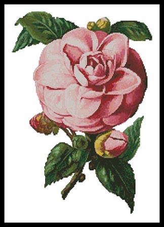 Camellia 6 - Artecy Cross Stitch