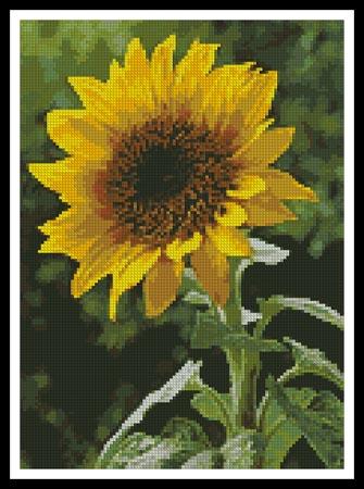 Sunflower - Artecy Cross Stitch