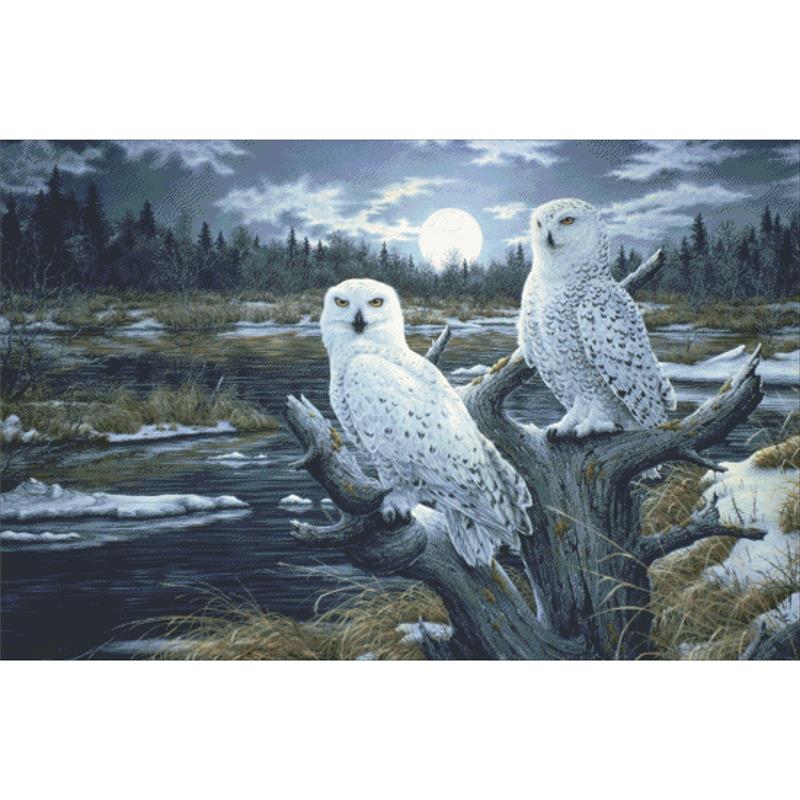 Snowy Owls - Charting Creations
