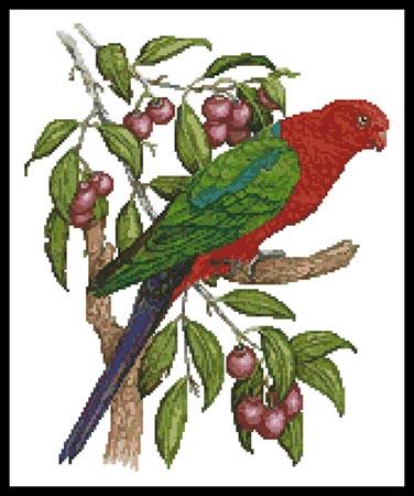 King Parrot - Artecy Cross Stitch