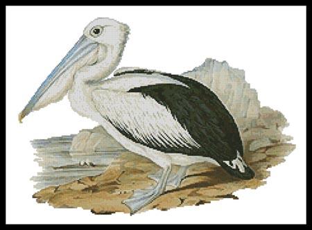 Pelican - Artecy Cross Stitch
