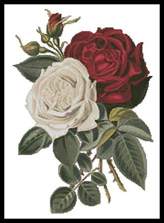 Red And White Roses - Artecy Cross Stitch