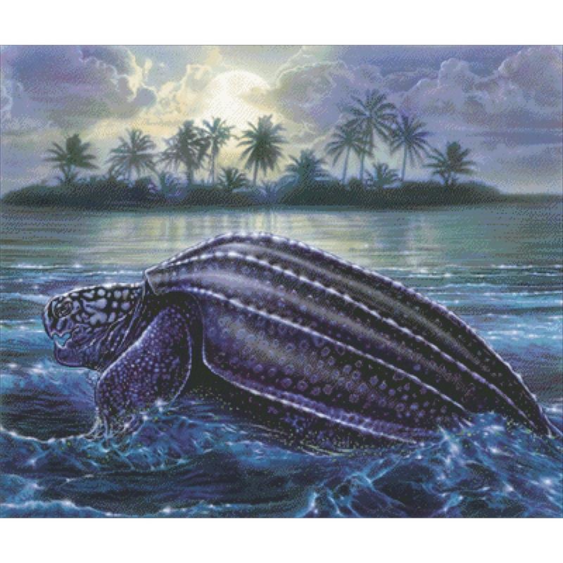 Moonlit Turtle - Charting Creations