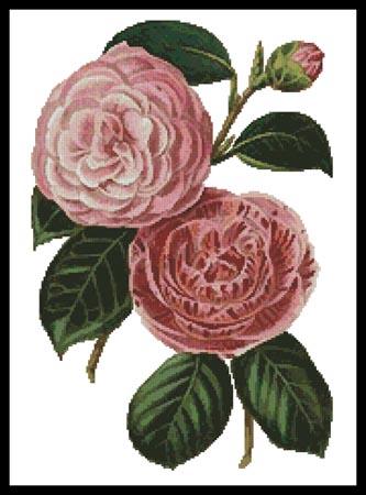 Camellias 5 - Artecy Cross Stitch
