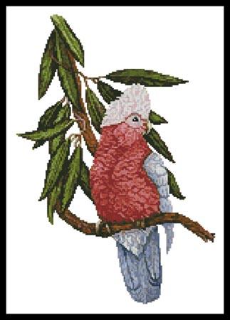Galah - Artecy Cross Stitch