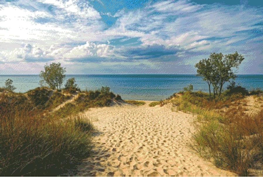 Indiana Dunes State Park - Fox Trails Needlework