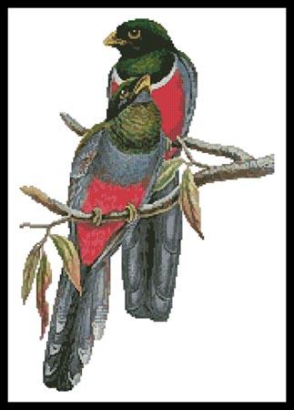 Trogons - Artecy Cross Stitch