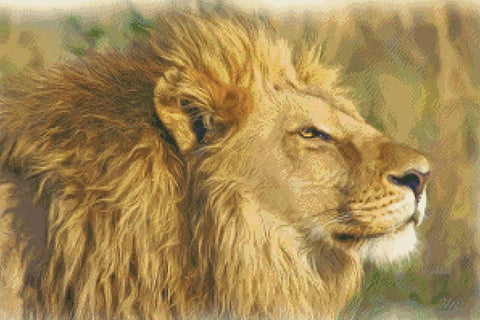 Lion Portrait - Fox Trails Needlework