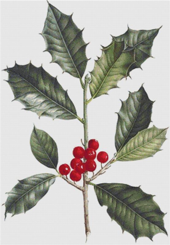 American Holly - X Squared Cross Stitch