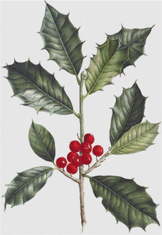 American Holly - X Squared Cross Stitch